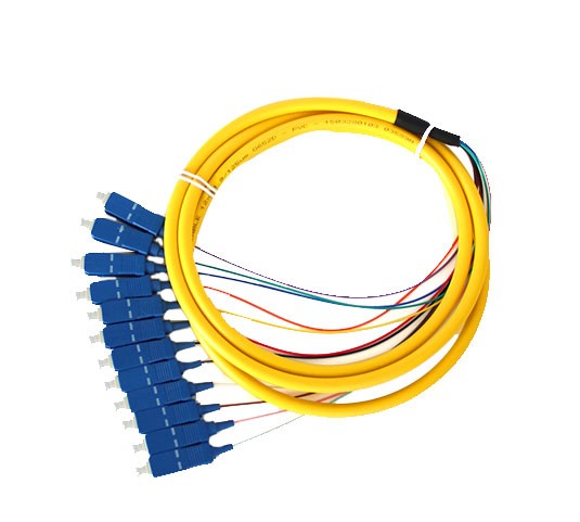 12-core pigtail (single-mode/multi-mode) | Factory pre-terminated, low loss, sui