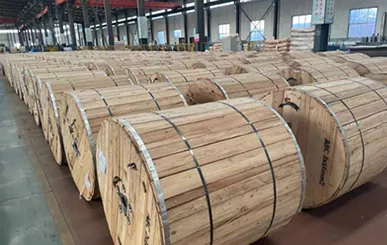 Câble à fibre optique